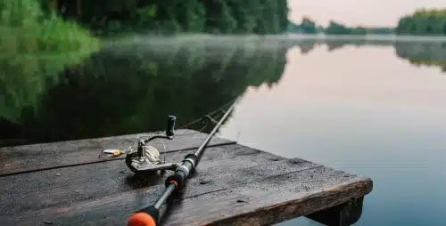 Best Fishing Rod for Freshwater: A Guide to the Best Choices