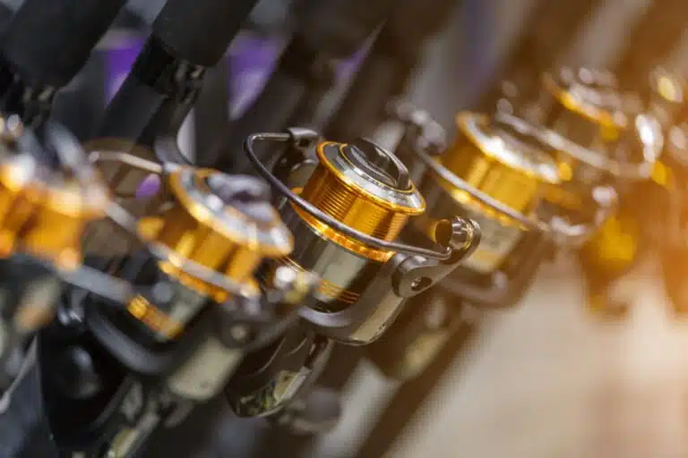 How a Spinning Reel Works 